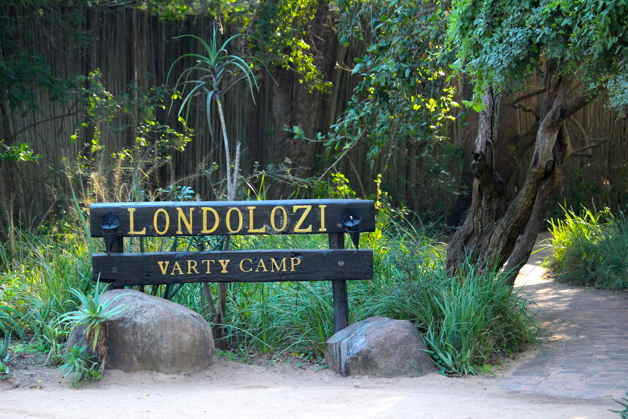 South African Safari at Londolozi Private Game Reserve in Sabi Sands