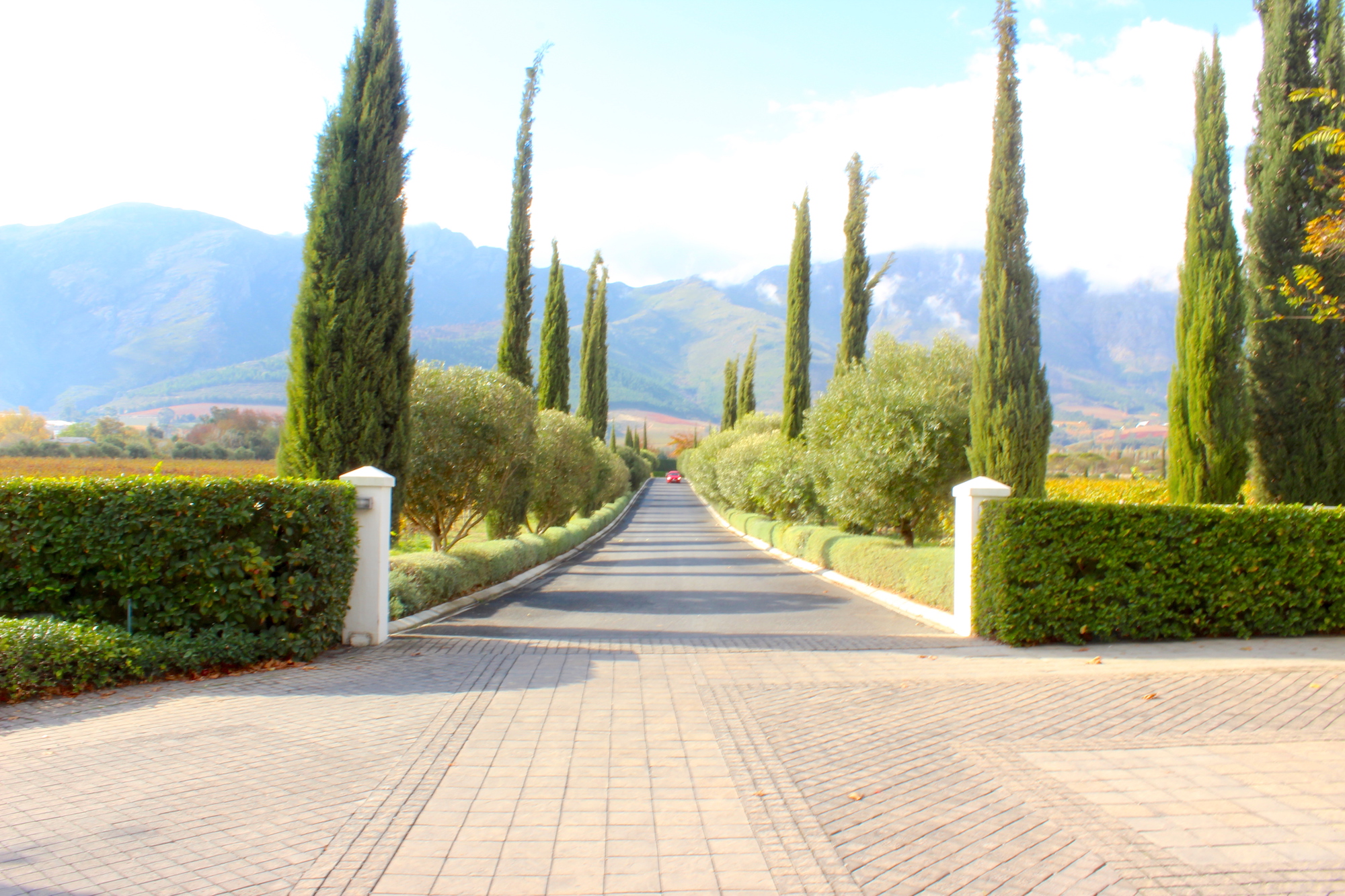 Franschhoek and The South African Winelands