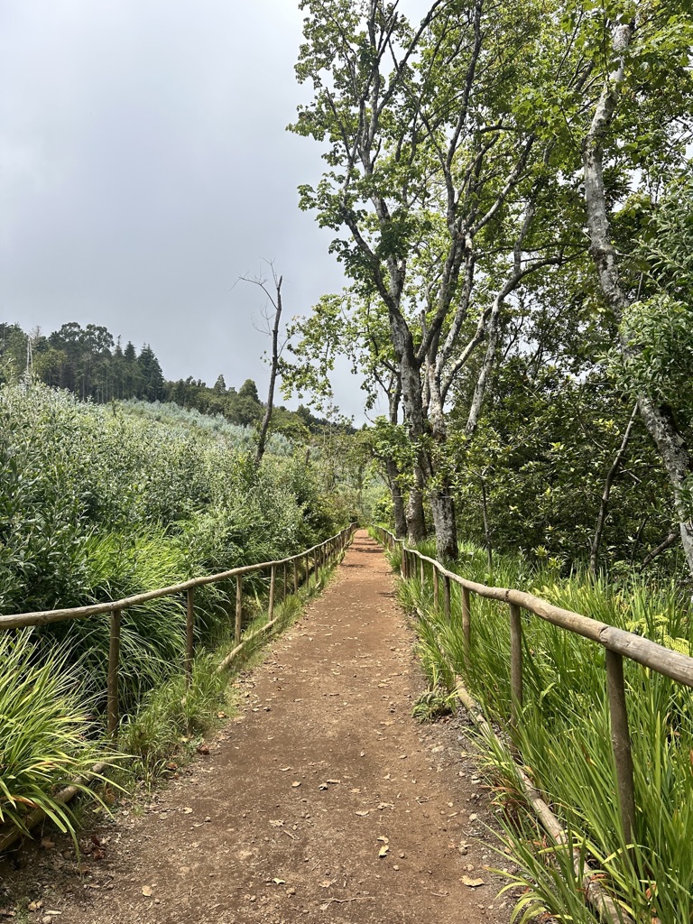 "A path for all Levada walk path with railings