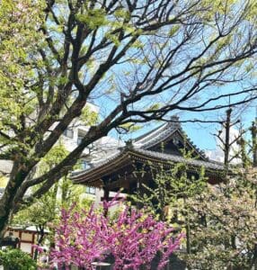 Temple in Tokyo with trees in front